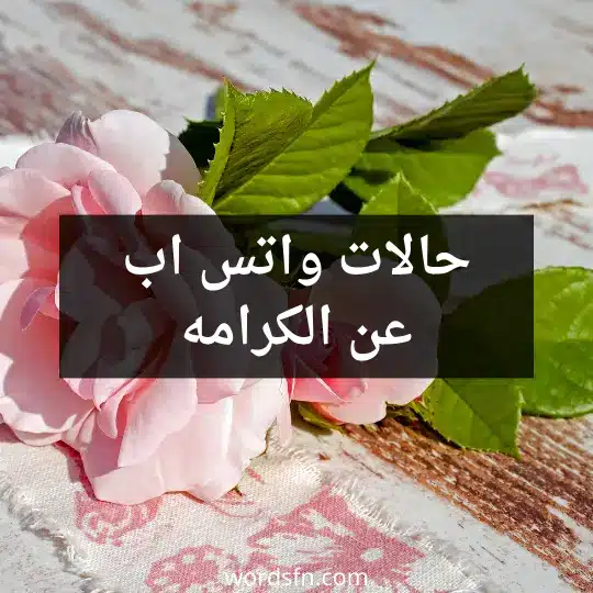 حالات واتس اب عن الكرامه