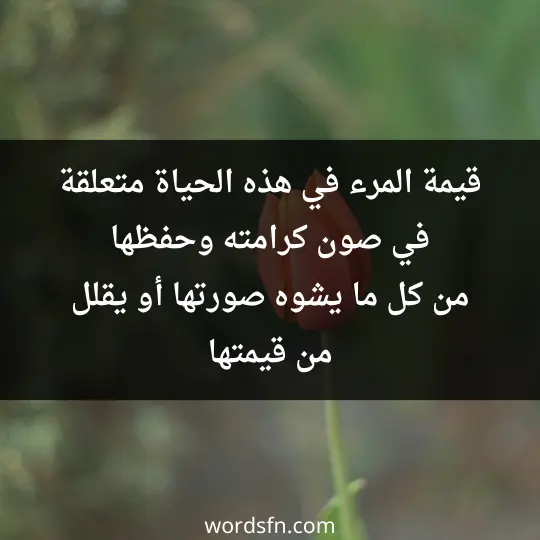 قيمة المرء في هذه الحياة متعلقة في صون كرامته وحفظها من كل ما يشوه صورتها أو يقلل من قيمتها