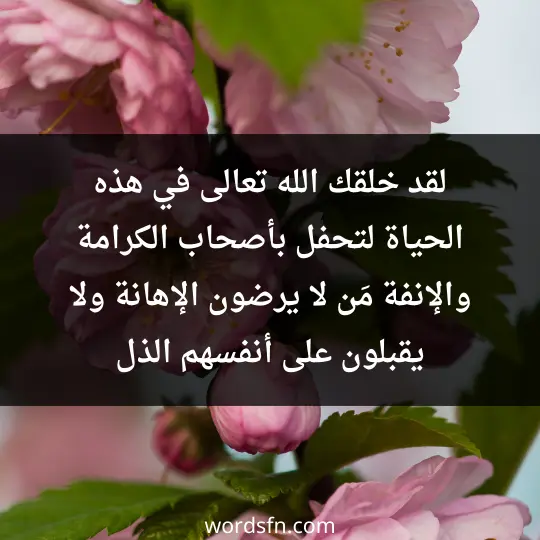 لقد خلقك الله تعالى في هذه الحياة لتحفل بأصحاب الكرامة والإنفة مَن لا يرضون الإهانة ولا يقبلون على أنفسهم الذل