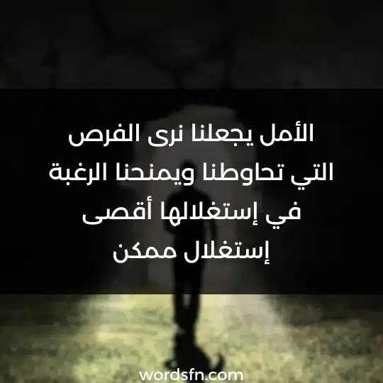 الأمل يجعلنا نرى الفرص التي تحاوطنا ويمنحنا الرغبة في إستغلالها أقصى إستغلال ممكن