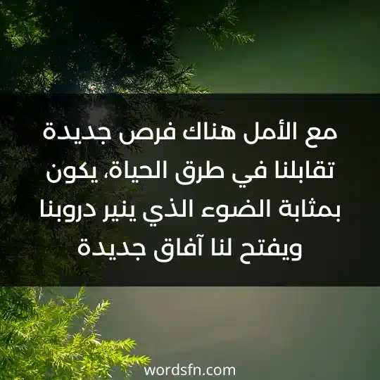 مع الأمل هناك فرص جديدة تقابلنا في طرق الحياة، يكون بمثابة الضوء الذي ينير دروبنا ويفتح لنا آفاق جديدة