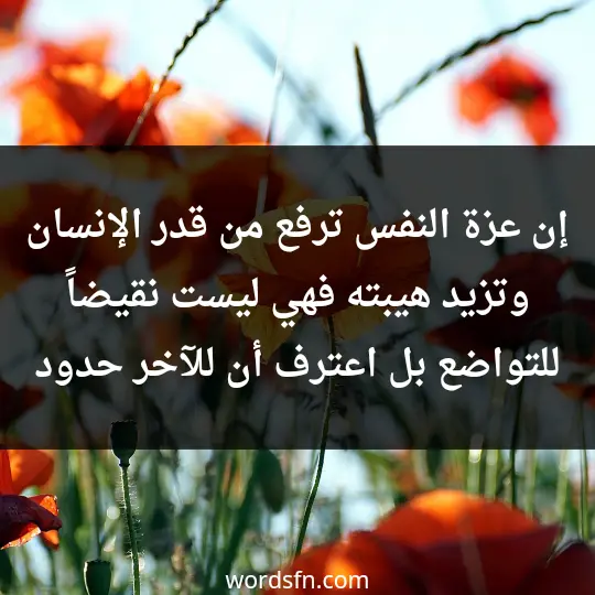 WhatsApp statuses about self-esteem 3 - فن العبارات إن عزة النفس ترفع من قدر الإنسان وتزيد هيبته، فهي ليست نقيضاً للتواضع بل اعترف أن للآخر حدود