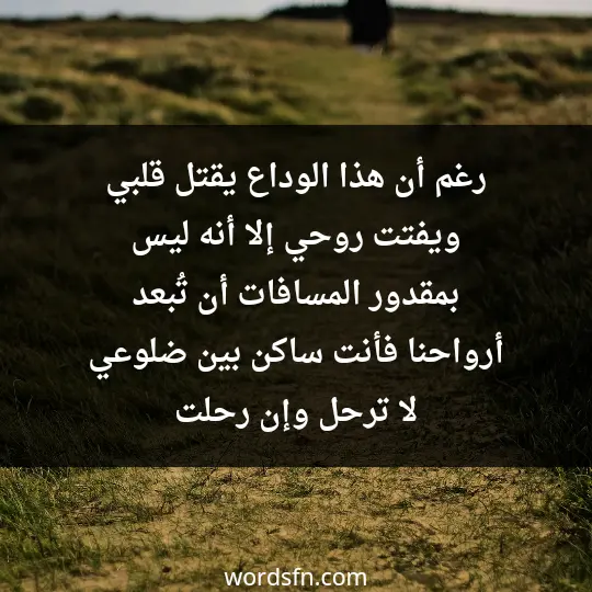 رغم أن هذا الوداع يقتل قلبي، ويفتت روحي. إلا أنه ليس بمقدور المسافات أن تُبعد أرواحنا، فأنت ساكن بين ضلوعي لا ترحل وإن رحلت - فن العبارات رغم أن هذا الوداع يقتل قلبي، ويفتت روحي. إلا أنه ليس بمقدور المسافات أن تُبعد أرواحنا، فأنت ساكن بين ضلوعي لا ترحل وإن رحلت