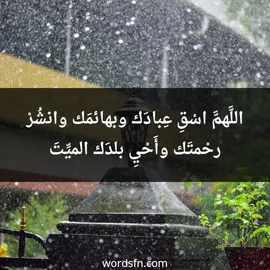 اللَّهمَّ اسْقِ عِبادَك وبهائمَك، وانشُرْ رحْمتَك، وأَحْيِ بلدَك الميِّتَ - فن العبارات اللَّهمَّ اسْقِ عِبادَك وبهائمَك، وانشُرْ رحْمتَك، وأَحْيِ بلدَك الميِّتَ