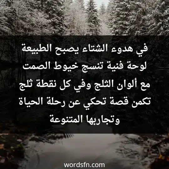 في هدوء الشتاء، يصبح الطبيعة لوحة فنية تنسج خيوط الصمت مع ألوان الثلج، وفي كل نقطة ثلج تكمن قصة تحكي عن رحلة الحياة وتجاربها المتنوعة