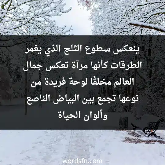 ينعكس سطوع الثلج الذي يغمر الطرقات كأنها مرآة تعكس جمال العالم، مخلقًا لوحة فريدة من نوعها تجمع بين البياض الناصع وألوان الحياة