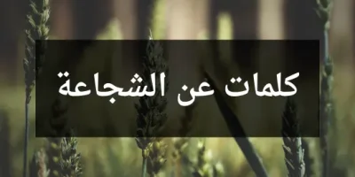 كلمات عن الشجاعة