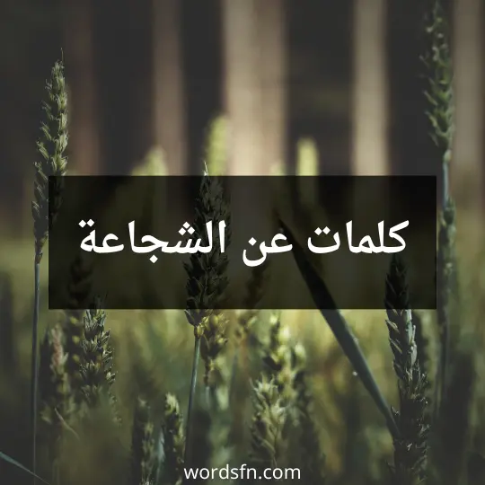 كلمات عن الشجاعة