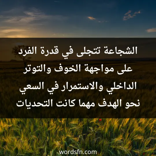 الشجاعة تتجلى في قدرة الفرد على مواجهة الخوف والتوتر الداخلي والاستمرار في السعي نحو الهدف مهما كانت التحديات