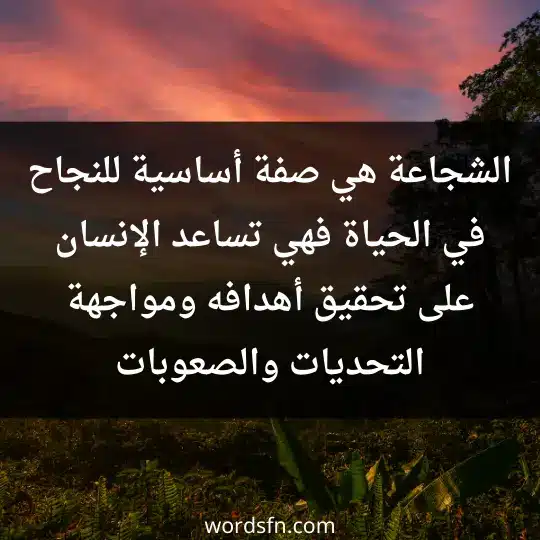 الشجاعة هي صفة أساسية للنجاح في الحياة، فهي تساعد الإنسان على تحقيق أهدافه ومواجهة التحديات والصعوبات
