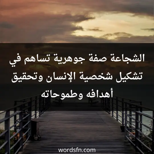 الشجاعة صفة جوهرية تساهم في تشكيل شخصية الإنسان وتحقيق أهدافه وطموحاته