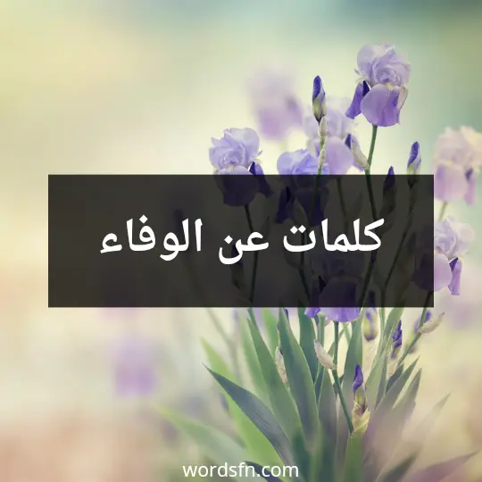 كلمات عن الوفاء