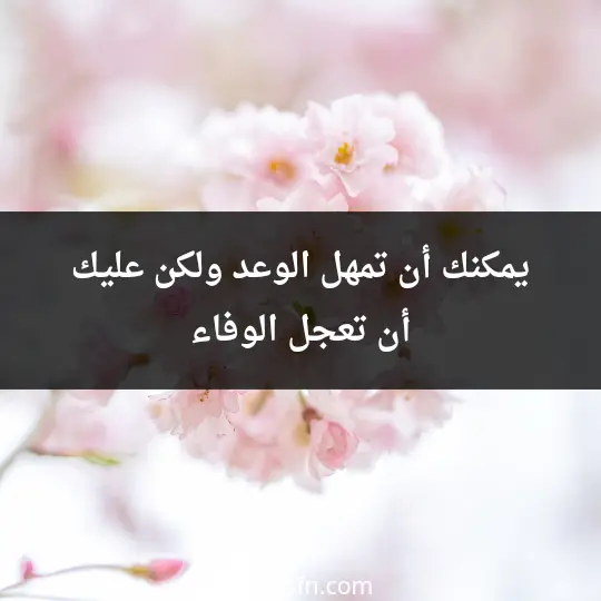 يمكنك أن تمهل الوعد ولكن عليك أن تعجل الوفاء - فن العبارات يمكنك أن تمهل الوعد ولكن عليك أن تعجل الوفاء