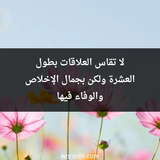 لا تقاس العلاقات بطول العشرة، ولكن بجمال الإخلاص والوفاء فيها - فن العبارات لا تقاس العلاقات بطول العشرة، ولكن بجمال الإخلاص والوفاء فيها