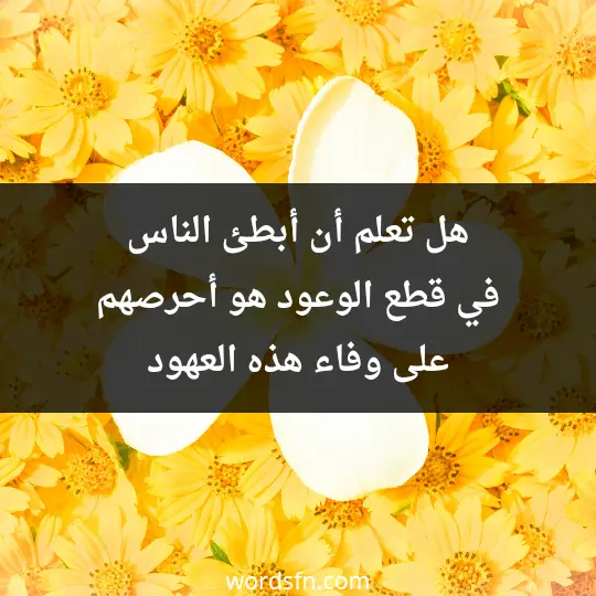 Words about loyalty3 - فن العبارات هل تعلم أن أبطئ الناس في قطع الوعود هو أحرصهم على وفاء هذه العهود