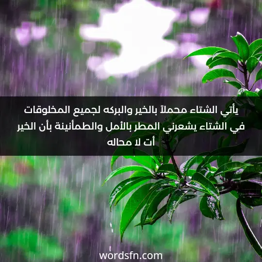 يأتي الشتاء محملاً بالخير والبركه لجميع المخلوقات في الشتاء يشعرني المطر بالأمل والطمأنينة بأن الخير أت لا محاله - فن العبارات يأتي الشتاء محملاً بالخير والبركه لجميع المخلوقات في الشتاء يشعرني المطر بالأمل والطمأنينة بأن الخير أت لا محاله