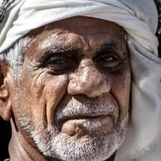 من هم العرب