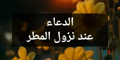 الدعاء عند نزول المطر