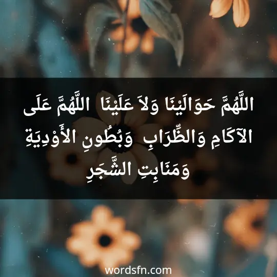 اللَّهُمَّ حَوَالَيْنَا وَلاَ عَلَيْنَا ، اللَّهُمَّ عَلَى الآكَامِ وَالظِّرَابِ ، وَبُطُونِ الأَوْدِيَةِ ، وَمَنَابِتِ الشَّجَرِ