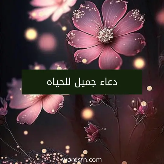 دعاء جميل للحياه