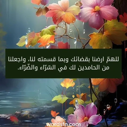 للهمّ ارضنا بقضائك وبما قسمته لنا، واجعلنا من الحامدين لك في السّرّاء والضّرّاء.