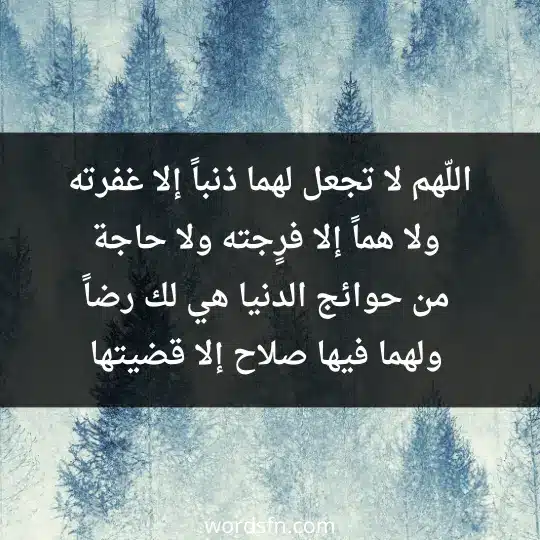 اللّهم لا تجعل لهما ذنباً إلا غفرته، ولا هماً إلا فرٍجته، ولا حاجة من حوائج الدنيا هي لك رضاً ولهما فيها صلاح إلا قضيتها - فن العبارات اللّهم لا تجعل لهما ذنباً إلا غفرته، ولا هماً إلا فرٍجته، ولا حاجة من حوائج الدنيا هي لك رضاً ولهما فيها صلاح إلا قضيتها