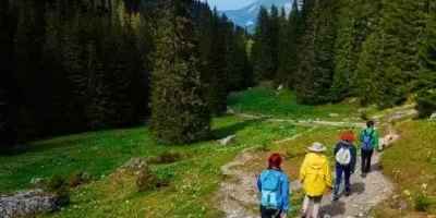 قصة واقعية عن رحلة الى الغابة