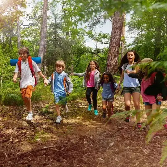 قصة واقعية عن رحلة الى الغابة قصة عن حيوانات الغابة قصة قصيرة عن رحلة إلى الغابة