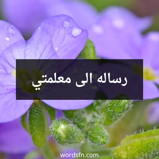 رساله الى معلمتي
