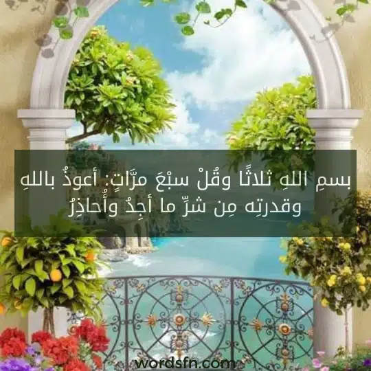 بسمِ اللهِ ثلاثًا وقُلْ سبْعَ مرَّاتٍ: أعوذُ باللهِ وقدرتِه مِن شرِّ ما أجِدُ وأُحاذِرُ.