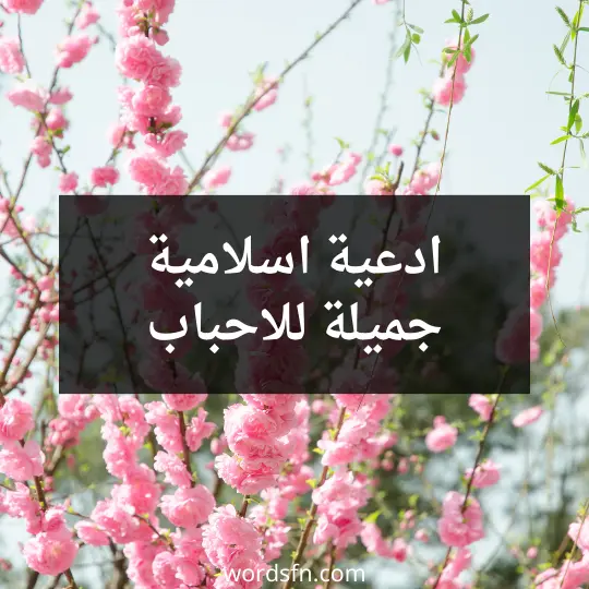 ادعية اسلامية جميلة للاحباب