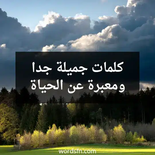 كلمات جميلة جدا ومعبرة عن الحياة