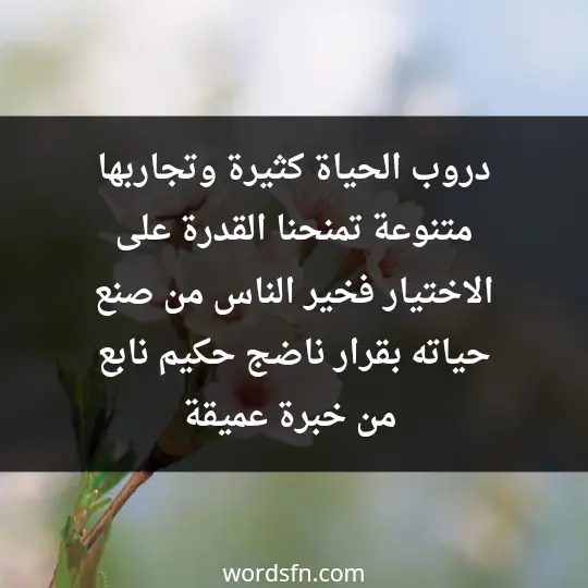 دروب الحياة كثيرة وتجاربها متنوعة تمنحنا القدرة على الاختيار فخير الناس من صنع حياته بقرار ناضج حكيم نابع من خبرة عميقة