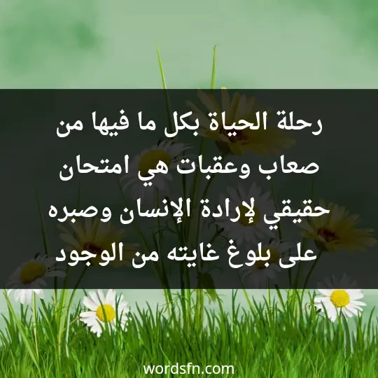 رحلة الحياة بكل ما فيها من صعاب وعقبات هي امتحان حقيقي لإرادة الإنسان وصبره على بلوغ غايته من الوجود