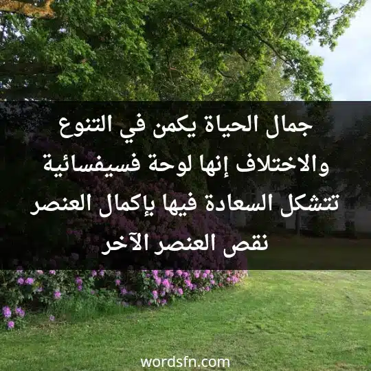 جمال الحياة يكمن في التنوع والاختلاف، إنها لوحة فسيفسائية تتشكل السعادة فيها بإكمال العنصر نقص العنصر الآخر