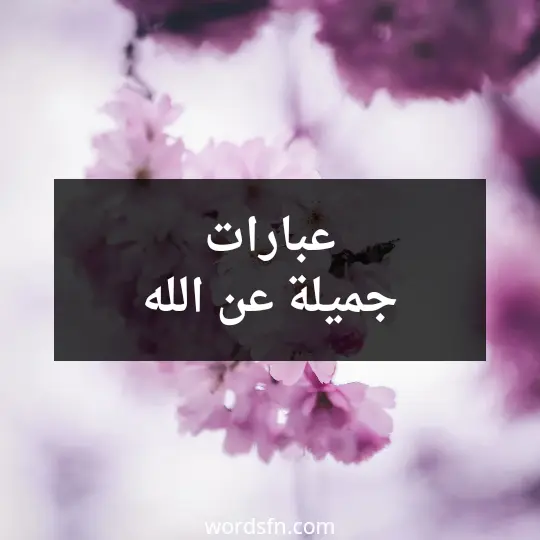 عبارات جميلة عن الله
