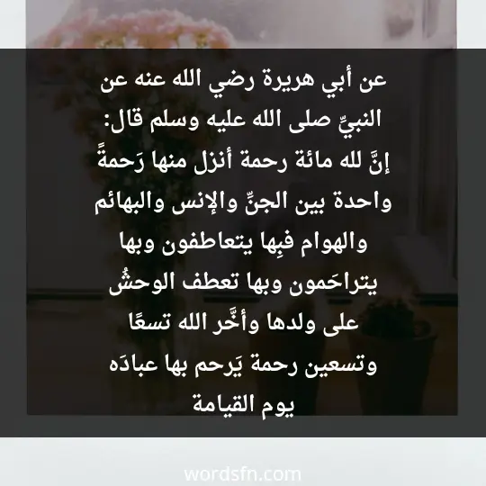 عن أبي هريرة رضي الله عنه، عن النبيِّ صلى الله عليه وسلم قال: (إنَّ لله مائة رحمة، أنزل منها رَحمةً واحدة بين الجنِّ والإنس والبهائم والهوام، فبِها يتعاطفون، وبها يتراحَمون، وبها تعطف الوحشُ على ولدها، وأخَّر الله تسعًا وتسعين رحمة يَرحم بها عبادَه يوم القيامة - فن العبارات عن أبي هريرة رضي الله عنه، عن النبيِّ صلى الله عليه وسلم قال: (إنَّ لله مائة رحمة، أنزل منها رَحمةً واحدة بين الجنِّ والإنس والبهائم والهوام، فبِها يتعاطفون، وبها يتراحَمون، وبها تعطف الوحشُ على ولدها، وأخَّر الله تسعًا وتسعين رحمة يَرحم بها عبادَه يوم القيامة