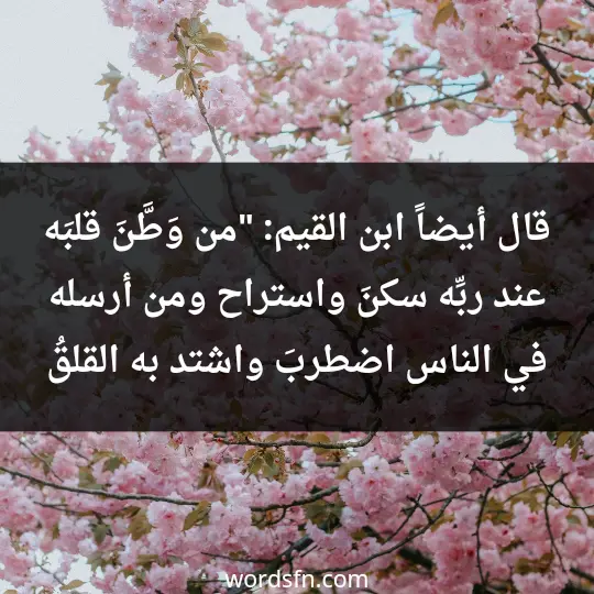 قال أيضاً ابن القيم: "من وَطَّنَ قلبَه عند ربِّه سكنَ واستراح، ومن أرسله في الناس اضطربَ واشتد به القلقُ - فن العبارات قال أيضاً ابن القيم: "من وَطَّنَ قلبَه عند ربِّه سكنَ واستراح، ومن أرسله في الناس اضطربَ واشتد به القلقُ
