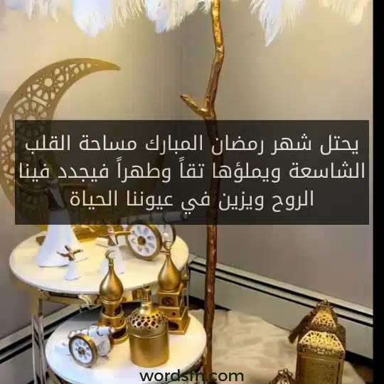 يحتل شهر رمضان المبارك مساحة القلب الشاسعة ويملؤها تقاً وطهراً فيجدد فينا الروح ويزين في عيوننا الحياة.