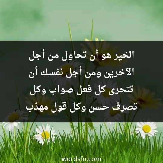 الخير هو أن تحاول من أجل الآخرين، ومن أجل نفسك، أن تتحرى كل فعل صواب. وكل تصرف حسن، وكل قول مهذب