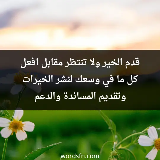 قدم الخير ولا تنتظر مقابل، افعل كل ما في وسعك لنشر الخيرات وتقديم المساندة والدعم