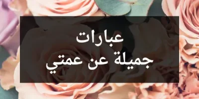 عبارات جميلة عن عمتي