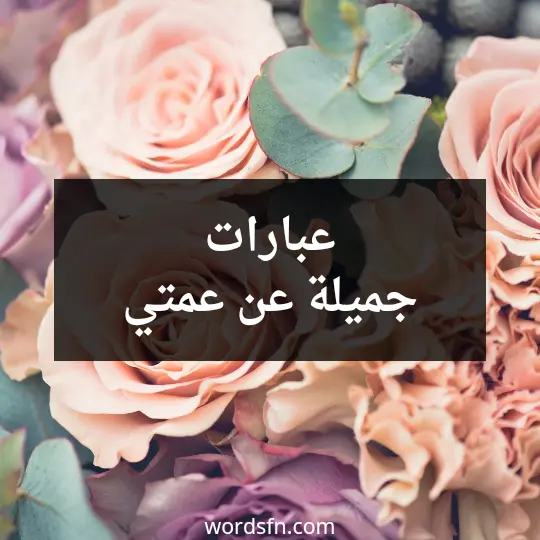 عبارات جميلة عن عمتي