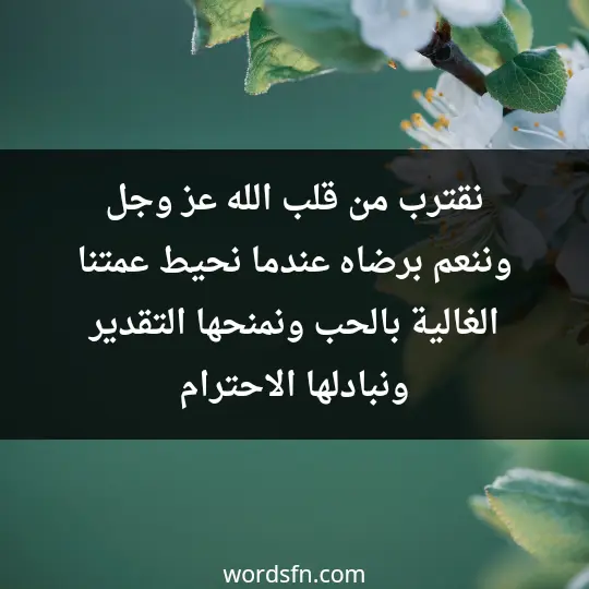 نقترب من قلب الله عز وجل وننعم برضاه عندما نحيط عمتنا الغالية بالحب ونمنحها التقدير ونبادلها الاحترام - فن العبارات نقترب من قلب الله عز وجل وننعم برضاه عندما نحيط عمتنا الغالية بالحب ونمنحها التقدير ونبادلها الاحترام