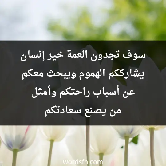 سوف تجدون العمة خير إنسان يشارككم الهموم ويبحث معكم عن أسباب راحتكم وأمثل من يصنع سعادتكم - فن العبارات سوف تجدون العمة خير إنسان يشارككم الهموم ويبحث معكم عن أسباب راحتكم وأمثل من يصنع سعادتكم