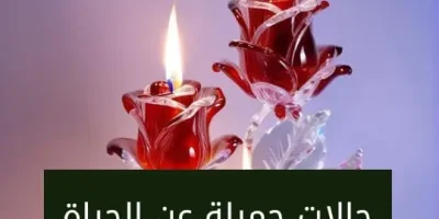 حالات جميلة عن الحياة