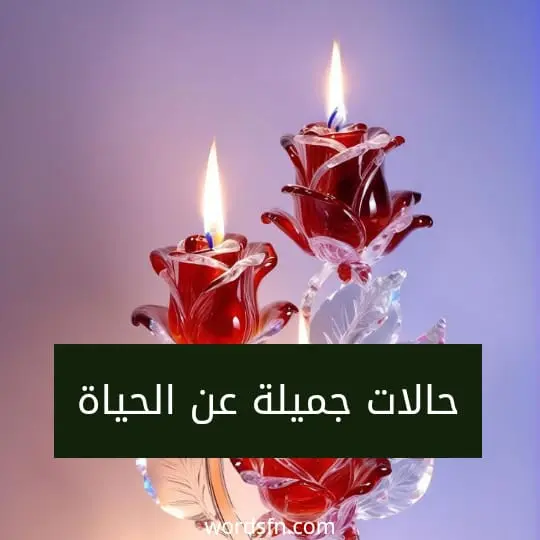 حالات جميلة عن الحياة