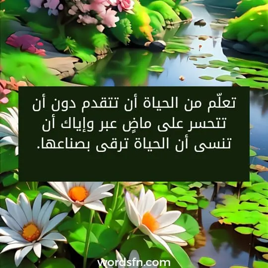 علّم من الحياة أن تتقدم دون أن تتحسر على ماضٍ عبر. وإياك أن تنسى أن الحياة ترقى بصناعها.