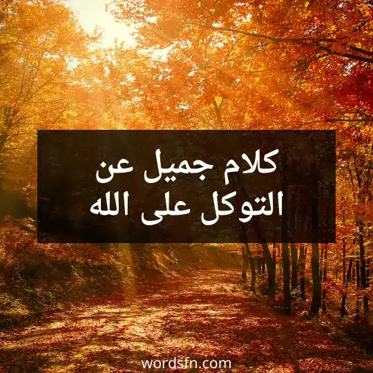 كلام جميل عن التوكل على الله