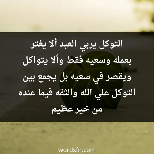 التوكل يربي العبد ألا يغتر بعمله وسعيه فقط ،وألا يتواكل ويقصر في سعيه.  بل يجمع بين التوكل علي الله والثقه فيما عنده من خير عظيم
